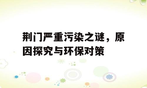 荆门严重污染之谜，原因探究与环保对策