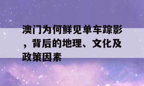 澳门为何鲜见单车踪影，背后的地理、文化及政策因素