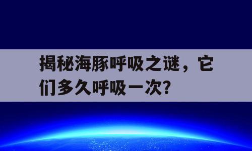 揭秘海豚呼吸之谜，它们多久呼吸一次？