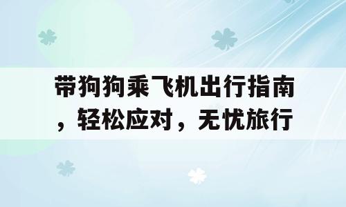 带狗狗乘飞机出行指南，轻松应对，无忧旅行