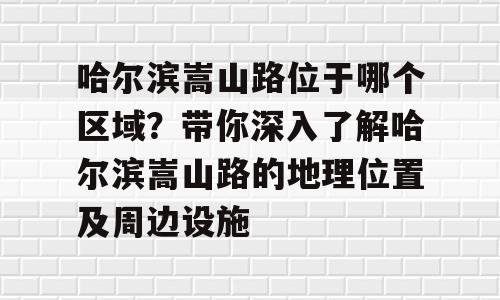 哈尔滨嵩山路位于哪个区域？带你深入了解哈尔滨嵩山路的地理位置及周边设施