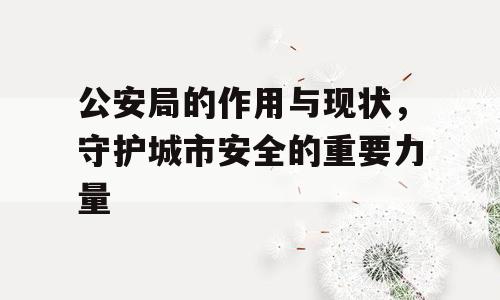 公安局的作用与现状，守护城市安全的重要力量