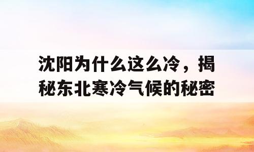 沈阳为什么这么冷，揭秘东北寒冷气候的秘密