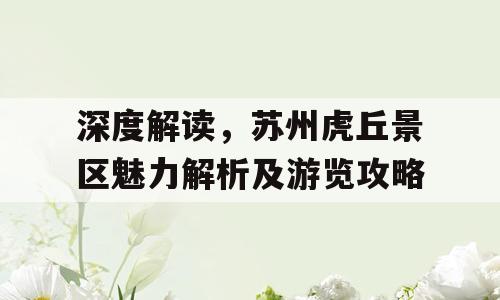 深度解读，苏州虎丘景区魅力解析及游览攻略
