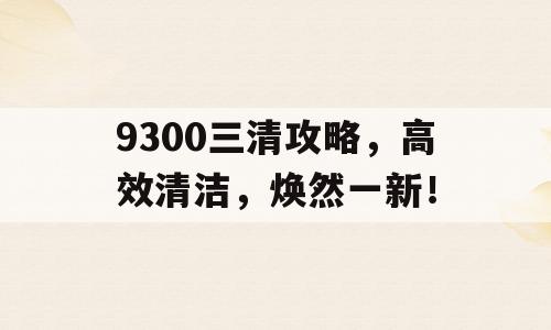 9300三清攻略，高效清洁，焕然一新！