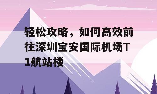 轻松攻略，如何高效前往深圳宝安国际机场T1航站楼