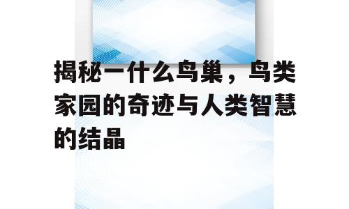 揭秘一什么鸟巢，鸟类家园的奇迹与人类智慧的结晶