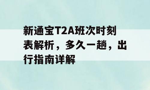 新通宝T2A班次时刻表解析，多久一趟，出行指南详解