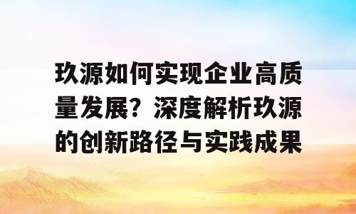 玖源如何实现企业高质量发展？深度解析玖源的创新路径与实践成果