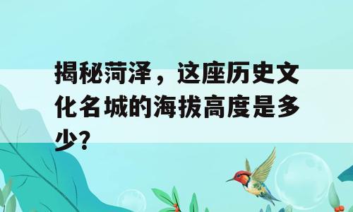 揭秘菏泽，这座历史文化名城的海拔高度是多少？