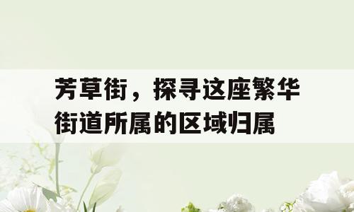 芳草街，探寻这座繁华街道所属的区域归属