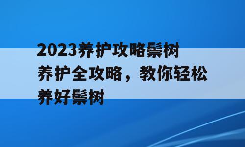 2023养护攻略鬃树养护全攻略，教你轻松养好鬃树