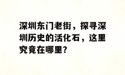 深圳东门老街，探寻深圳历史的活化石，这里究竟在哪里？