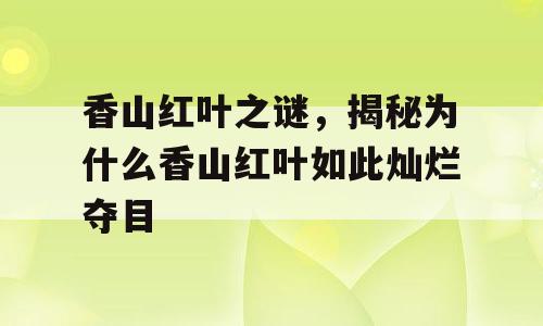 香山红叶之谜，揭秘为什么香山红叶如此灿烂夺目