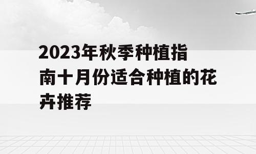 2023年秋季种植指南十月份适合种植的花卉推荐