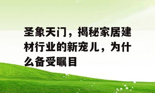 圣象天门，揭秘家居建材行业的新宠儿，为什么备受瞩目