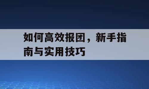 如何高效报团，新手指南与实用技巧
