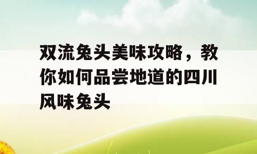 双流兔头美味攻略，教你如何品尝地道的四川风味兔头