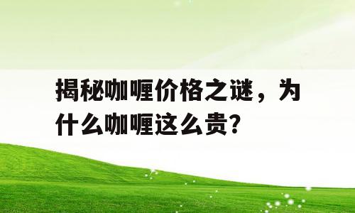 揭秘咖喱价格之谜，为什么咖喱这么贵？