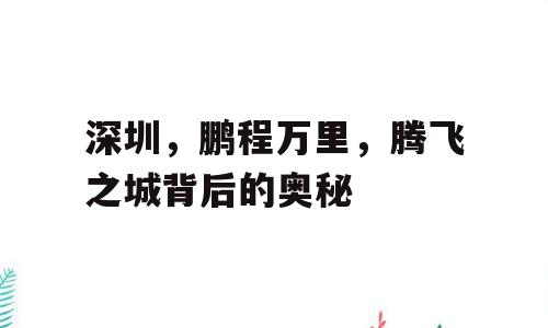 深圳，鹏程万里，腾飞之城背后的奥秘