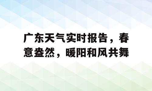 广东天气实时报告，春意盎然，暖阳和风共舞
