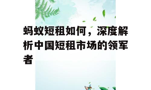 蚂蚁短租如何，深度解析中国短租市场的领军者