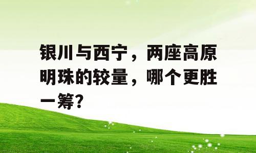 银川与西宁，两座高原明珠的较量，哪个更胜一筹？