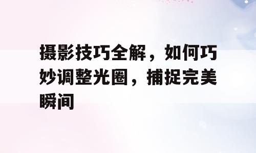 摄影技巧全解，如何巧妙调整光圈，捕捉完美瞬间