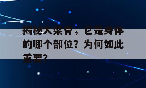 揭秘大梁骨，它是身体的哪个部位？为何如此重要？