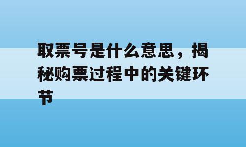 取票号是什么意思，揭秘购票过程中的关键环节