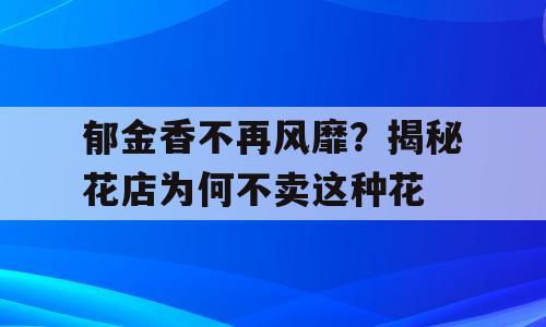 郁金香不再风靡？揭秘花店为何不卖这种花