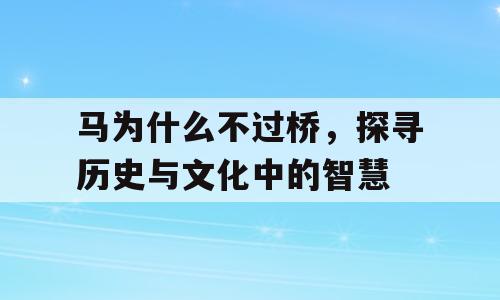 马为什么不过桥，探寻历史与文化中的智慧