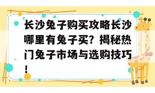 长沙兔子购买攻略长沙哪里有兔子买？揭秘热门兔子市场与选购技巧！