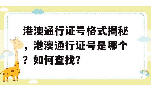 港澳通行证号格式揭秘，港澳通行证号是哪个？如何查找？