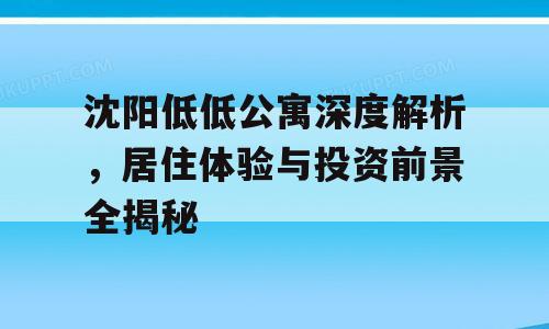 沈阳低低公寓深度解析，居住体验与投资前景全揭秘