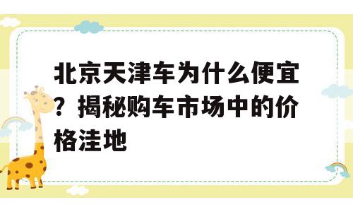 北京天津车为什么便宜？揭秘购车市场中的价格洼地