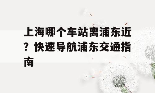 上海哪个车站离浦东近？快速导航浦东交通指南