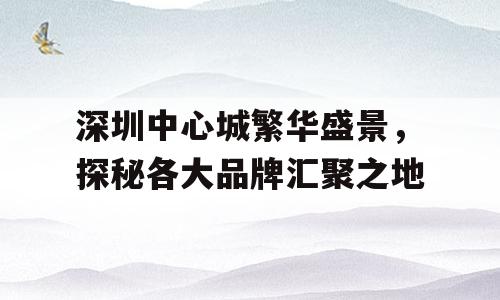 深圳中心城繁华盛景，探秘各大品牌汇聚之地