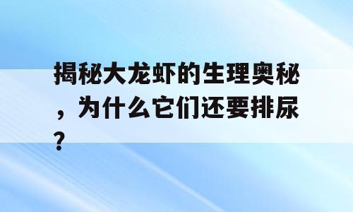 揭秘大龙虾的生理奥秘，为什么它们还要排尿？