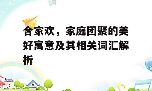 合家欢，家庭团聚的美好寓意及其相关词汇解析