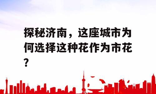 探秘济南，这座城市为何选择这种花作为市花？
