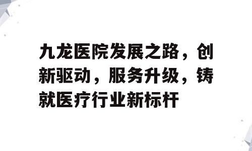 九龙医院发展之路，创新驱动，服务升级，铸就医疗行业新标杆
