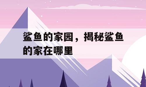 鲨鱼的家园，揭秘鲨鱼的家在哪里