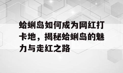 蛤蜊岛如何成为网红打卡地，揭秘蛤蜊岛的魅力与走红之路