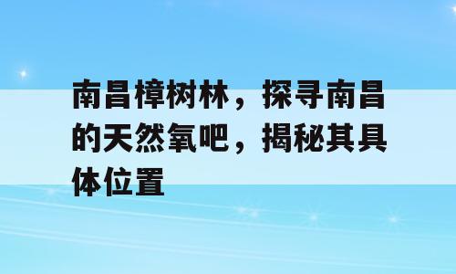 南昌樟树林，探寻南昌的天然氧吧，揭秘其具体位置
