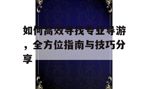 如何高效寻找专业导游，全方位指南与技巧分享