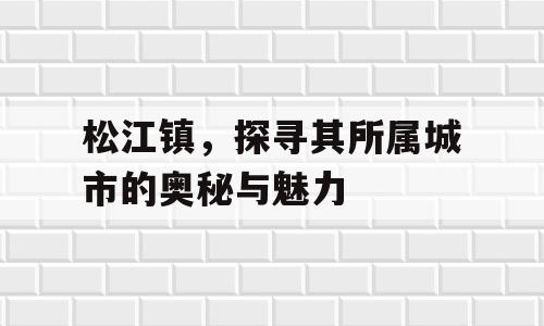 松江镇，探寻其所属城市的奥秘与魅力