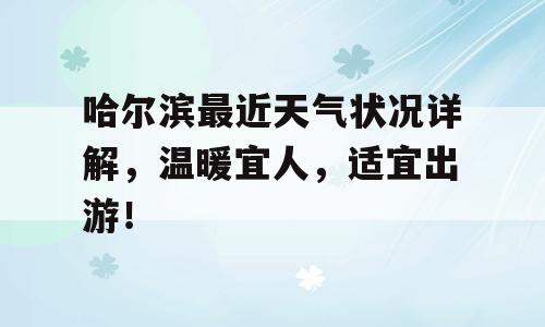 哈尔滨最近天气状况详解，温暖宜人，适宜出游！