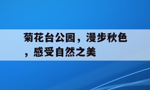 菊花台公园，漫步秋色，感受自然之美