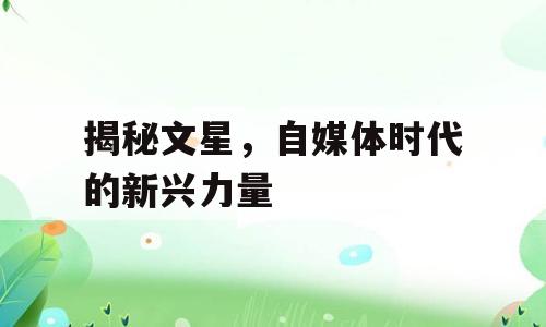 揭秘文星，自媒体时代的新兴力量